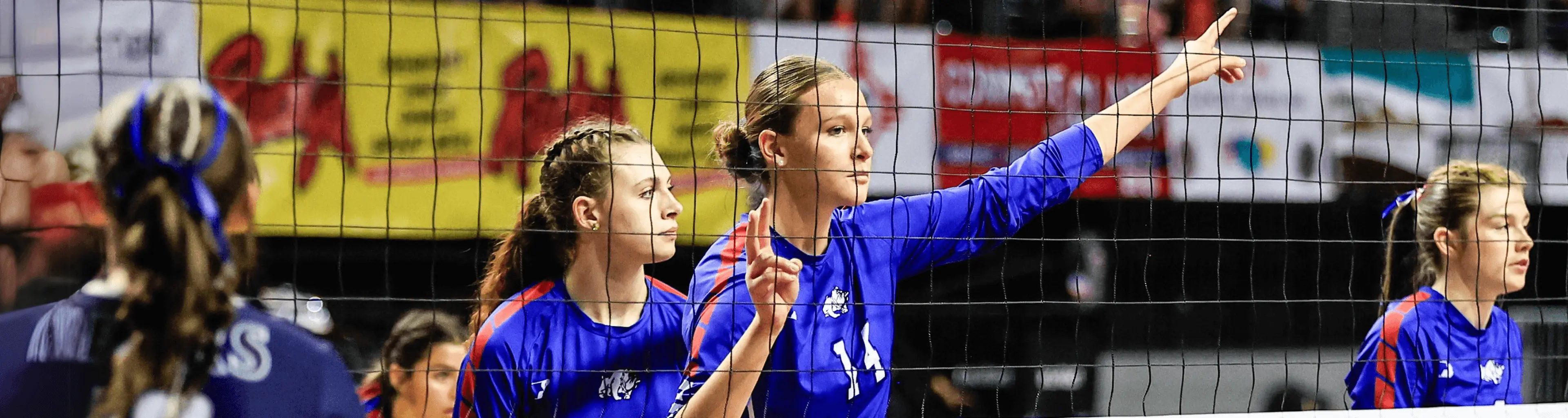 Volleyball 