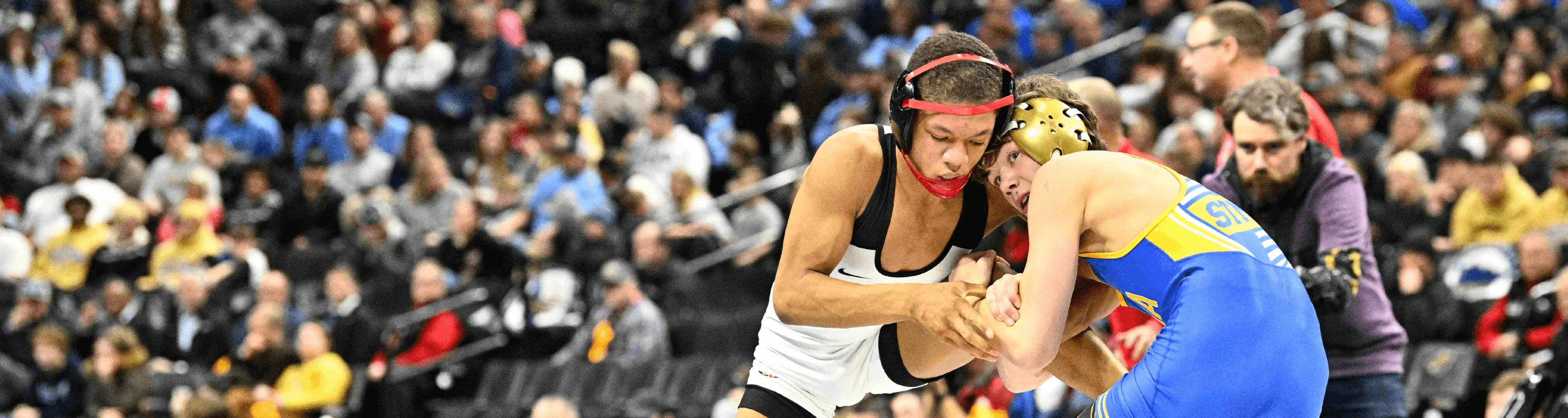 Wrestling 