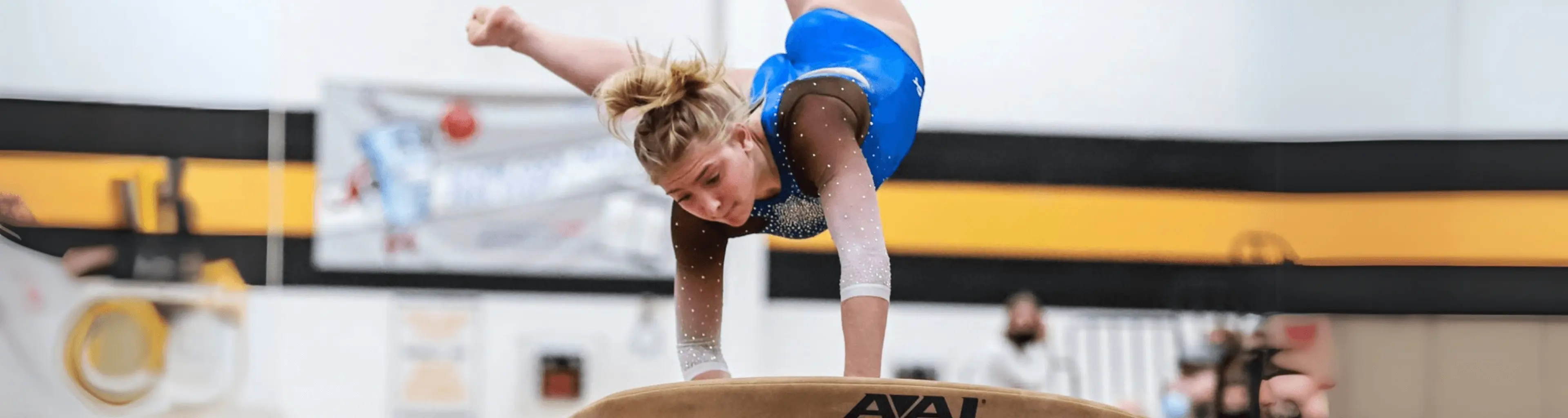 Gymnastics 