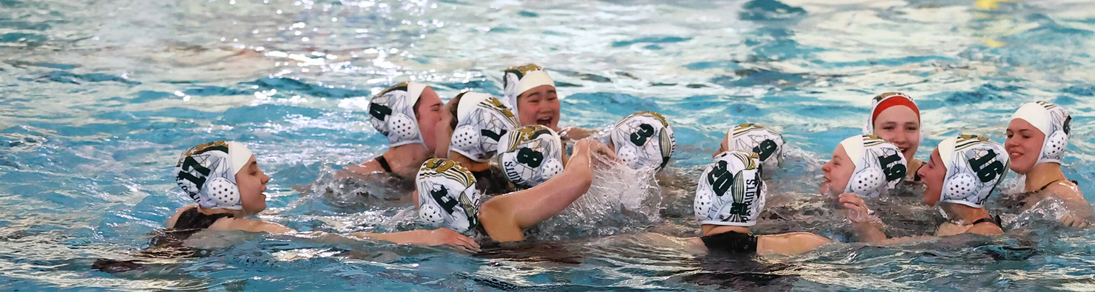 Water Polo Courses