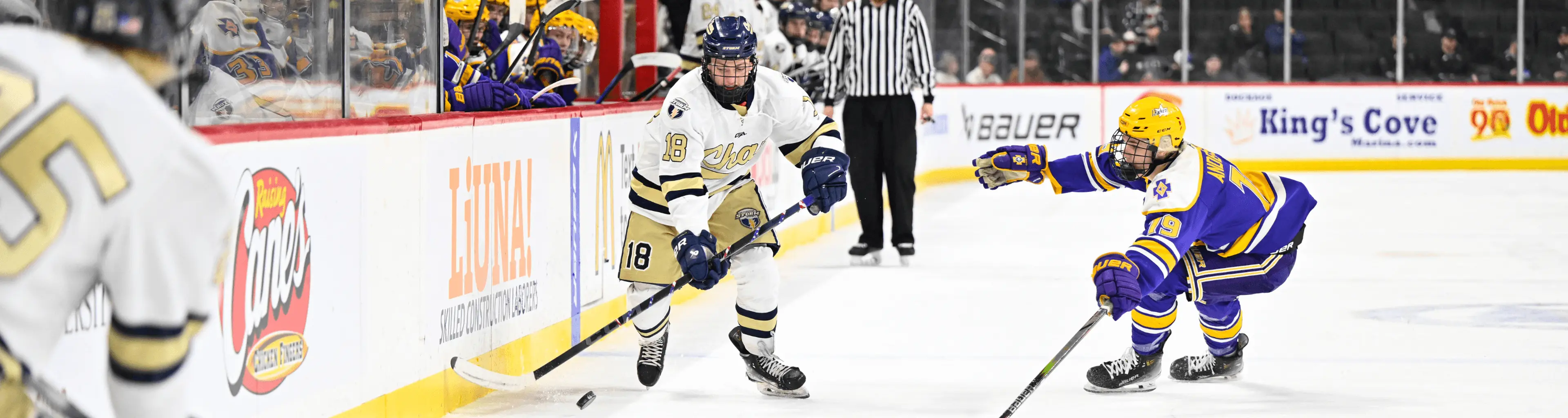 Ice Hockey Courses