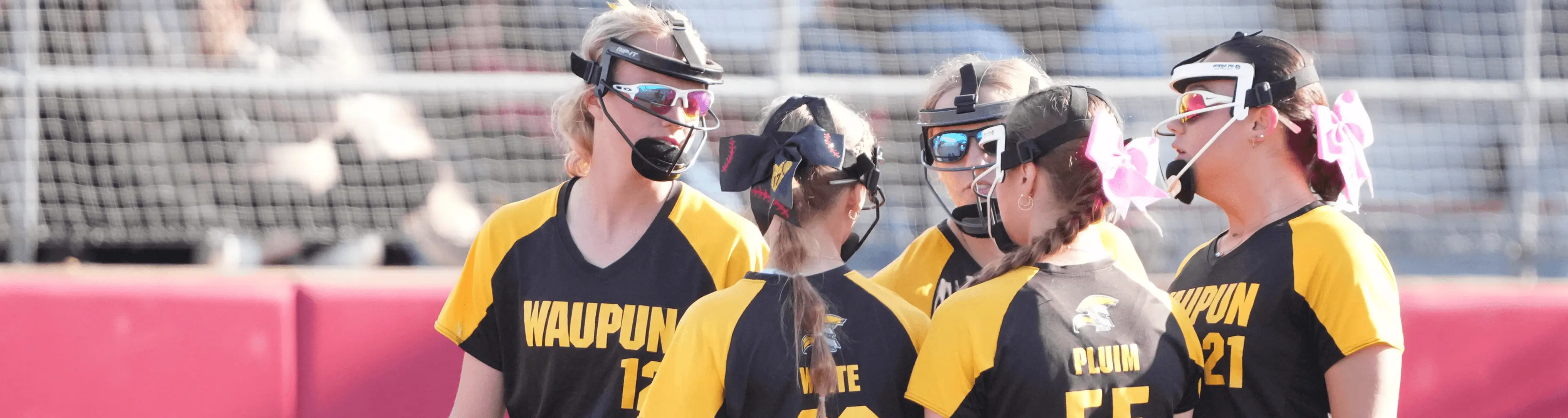 Softball Resources
