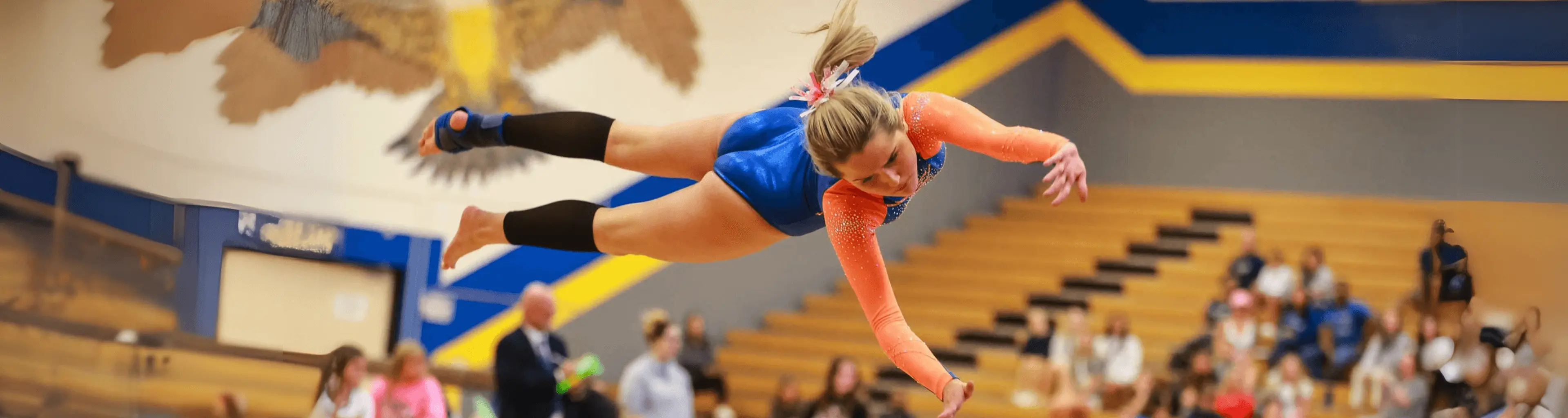 Gymnastics Courses