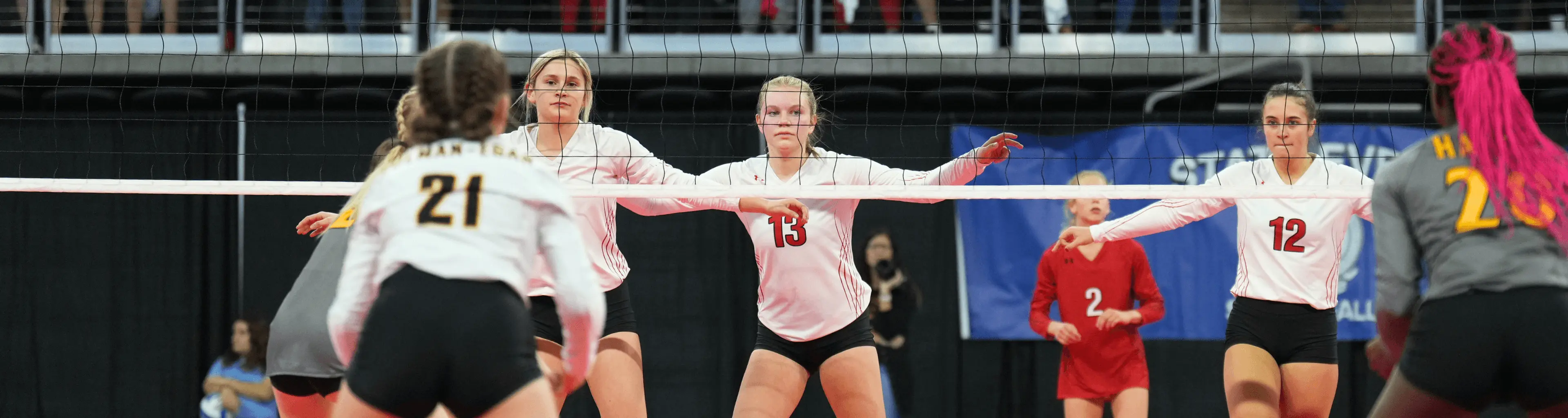 Volleyball Courses