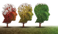 Concussion in Sports – Past, Present and Future