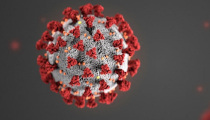 What you Need to Know About COVID-19  to Protect Yourself and Your Families
